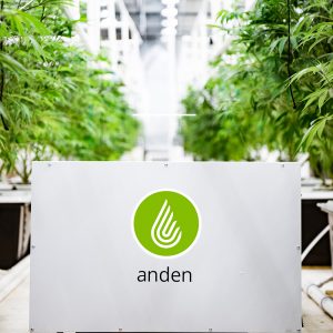 Anden-Dehumidifier-Grow Room